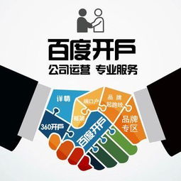 金湖推廣服務費用解析及樹先生信息技術咨詢服務供應
